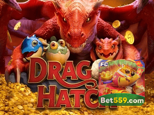 559BET PIX instantâneo Brasil - Depósito e saque em minutos 24/7